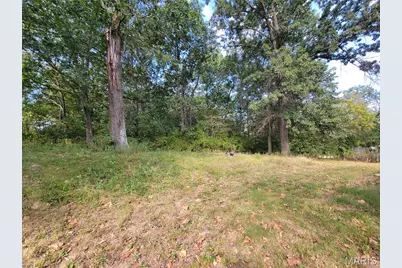 161 Madison Rene Avenue, Moscow Mills, MO 63362 - Photo 5