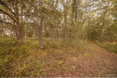 00 Abbott Road, Bellflower, MO 63333 - Photo 37