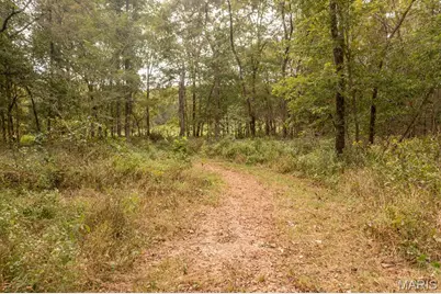 00 Abbott Road, Bellflower, MO 63333 - Photo 25