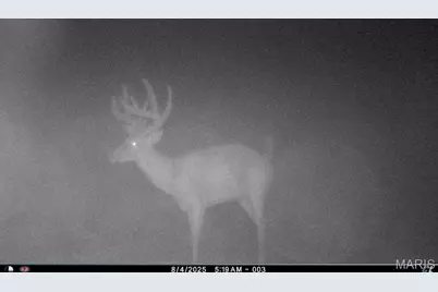 00 Abbott Road, Bellflower, MO 63333 - Photo 41