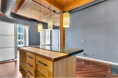 507 N 13th #501, Saint Louis, MO 63103 - Photo 7
