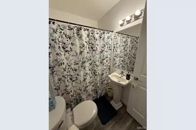 427 N State Street, Montgomery City, MO 63361 - Photo 19