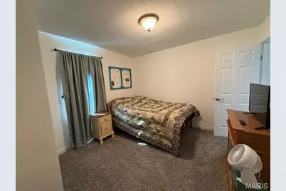 427 N State Street, Montgomery City, MO 63361 - Photo 21