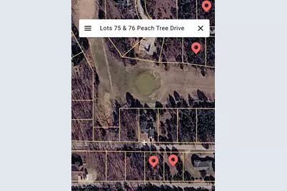 Lots 75 & 76 Peach Tree Drive, Hillsboro, MO 63050 - Photo 19