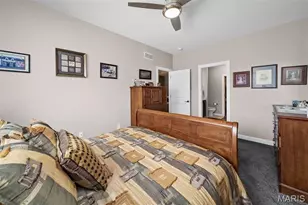 102 Savannah Terrace, Wentzville, MO 63385 - Photo 29