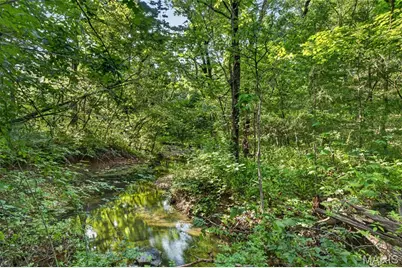 Tbd 005 M- Cantrell Road, Winfield, MO 65704 - Photo 9