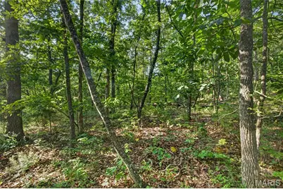 Tbd 005 M- Cantrell Road, Winfield, MO 65704 - Photo 11