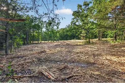 Tbd 005 M- Cantrell Road, Winfield, MO 65704 - Photo 5