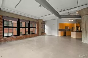 1619 Washington Ave, Saint Louis, MO 63103 - Photo 17