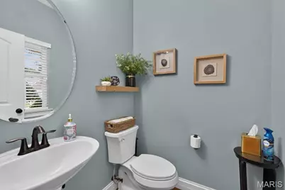 1302 Spring Lilly Drive, High Ridge, MO 63049 - Photo 19