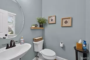 1302 Spring Lilly Dr, High Ridge, MO 63049 - Photo 19