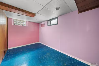 4325 Alma Avenue, Saint Louis, MO 63116 - Photo 25