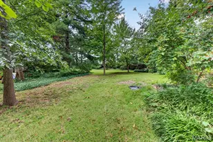 10099 Litzsinger Rd, Ladue, MO 63124 - Photo 39