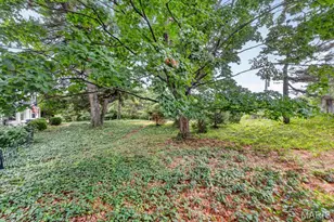 10099 Litzsinger Rd, Ladue, MO 63124 - Photo 45