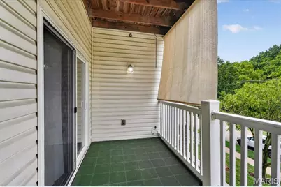 31 Kassebaum Lane #203, Saint Louis, MO 63129 - Photo 29