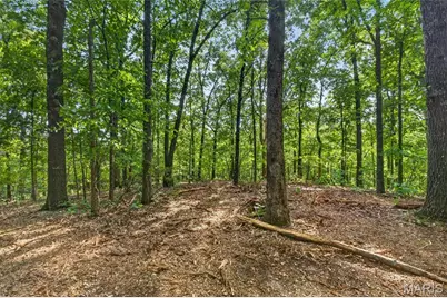 Tbd 006 M- Cantrell Road, Winfield, MO 65704 - Photo 19
