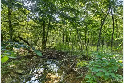 Tbd 006 M- Cantrell Road, Winfield, MO 65704 - Photo 29
