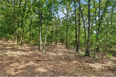 Tbd 006 M- Cantrell Road, Winfield, MO 65704 - Photo 13