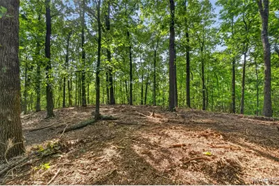 Tbd 006 M- Cantrell Road, Winfield, MO 65704 - Photo 17