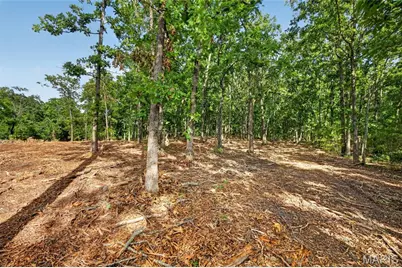 Tbd 006 M- Cantrell Road, Winfield, MO 65704 - Photo 9