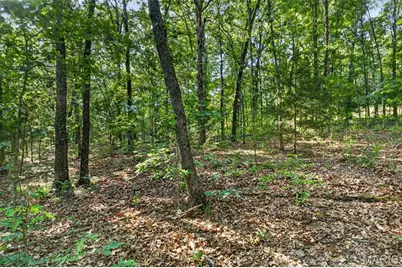 Tbd 006 M- Cantrell Road, Winfield, MO 65704 - Photo 23