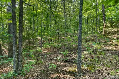Tbd 006 M- Cantrell Road, Winfield, MO 65704 - Photo 25