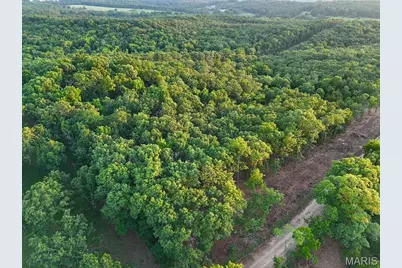 Tbd 006 M- Cantrell Road, Winfield, MO 65704 - Photo 5