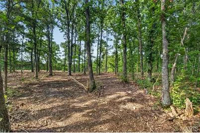 Tbd 006 M- Cantrell Road, Winfield, MO 65704 - Photo 11