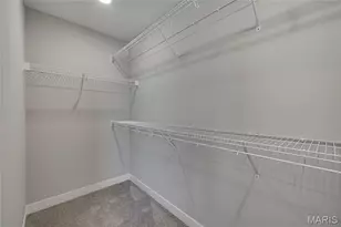 2921 Christina Ct, Farmington, MO 63640 - Photo 17