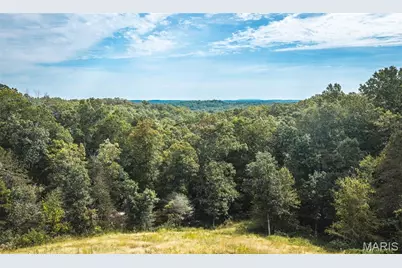 54584 Highway 21, Washington, MO 63638 - Photo 49