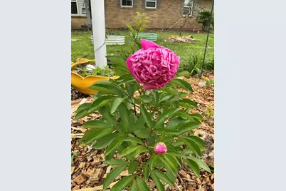 11830 E Concord Road, Saint Louis, MO 63128 - Photo 39