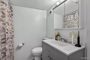 800 Tyler St, Park Hills, MO 63601 - Photo 19