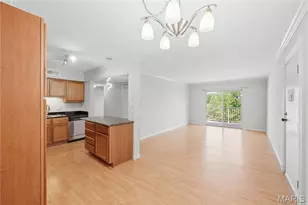 1411 Willow Brook Cove, Saint Louis, MO 63146 - Photo 3