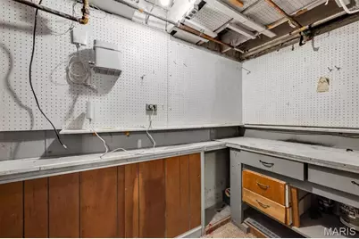 4503 Tholozan Avenue, Saint Louis, MO 63116 - Photo 21