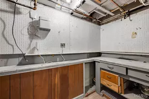 4503 Tholozan Ave, Saint Louis, MO 63116 - Photo 21