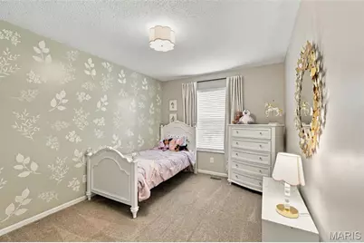 6 S Perry Circle, O'Fallon, MO 63366 - Photo 17