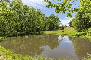 6229 Hwy 32, Farmington, MO 63640 - Photo 51