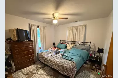 1229 E Karsch Boulevard, Farmington, MO 63640 - Photo 13