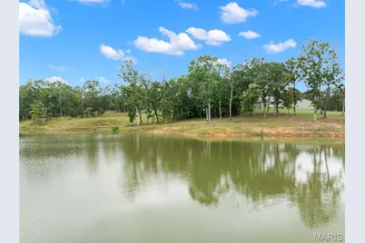 910 Oak Pass Lane, Sullivan, MO 63080 - Photo 57