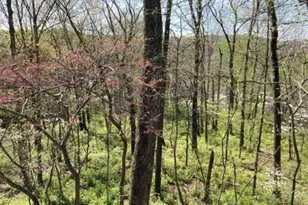 18852 Highwood Estates Dr, Wildwood, MO 63069 - Photo 95