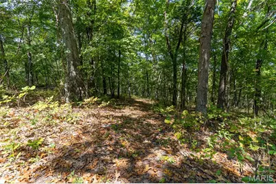 8380 Old State Route 21, Hillsboro, MO 63050 - Photo 39