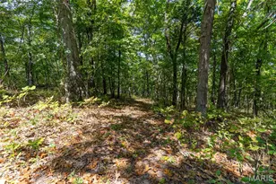 8380 Old State Route 21, Hillsboro, MO 63050 - Photo 39