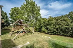 414 Avalon Chase Dr, Fenton, MO 63026 - Photo 57