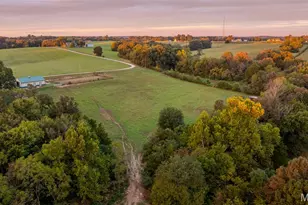 1231 Brown Ln, Saint Clair, MO 63077 - Photo 85