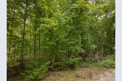 2527 Alpine Trails Drive, Innsbrook, MO 63390 - Photo 5