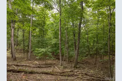 2527 Alpine Trails Drive, Innsbrook, MO 63390 - Photo 7