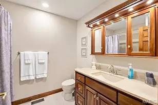 4550 Mattis Rd, Mehlville, MO 63128 - Photo 21