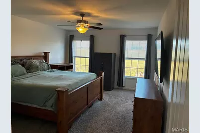 135 White Wildlife Road, Silex, MO 63377 - Photo 11