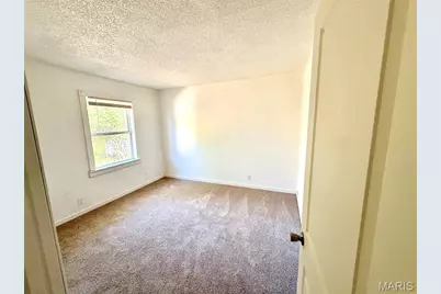 414 Monroe Street, Desloge, MO 63601 - Photo 19