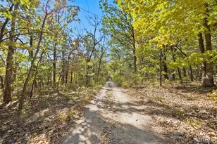 12956 Hencher Rd, De Soto, MO 63020 - Photo 33